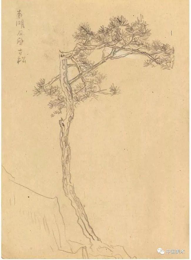 中国画写生的四种方法 书画知识 第15张