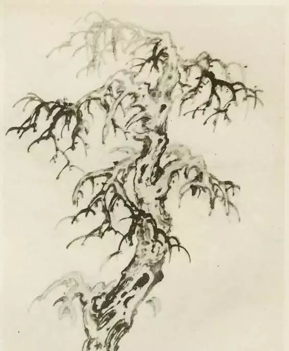 国画中所有树的详细画法解析 书画知识 第9张