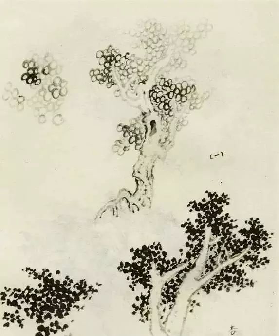 国画中所有树的详细画法解析 书画知识 第11张