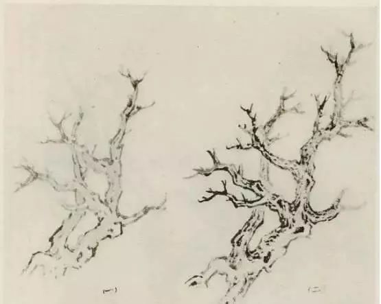 国画中所有树的详细画法解析 书画知识 第5张