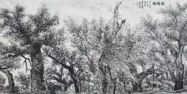 焦墨画的笔法和墨法 书画知识 第9张