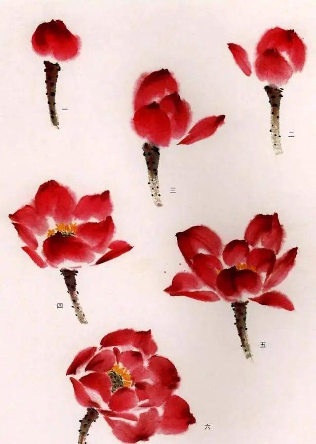 夏天学画写意荷花，送你简易画法！ 书画知识 第9张