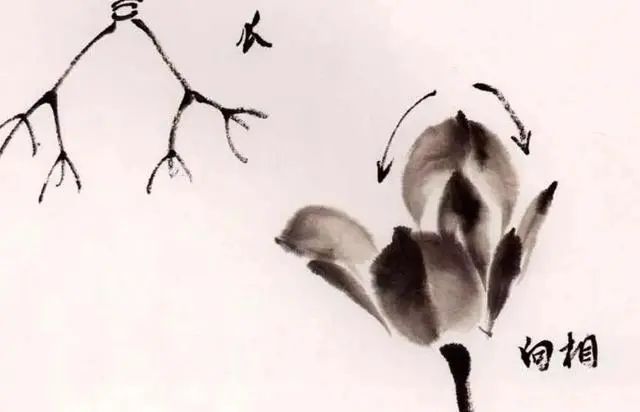 夏天学画写意荷花，送你简易画法！ 书画知识 第3张