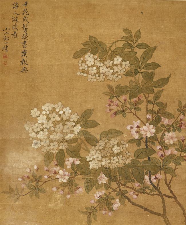 清丽淡雅，别具一格：评邹一桂的书画艺术 书画知识 第3张