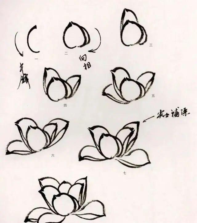 夏天学画写意荷花，送你简易画法！ 书画知识 第5张