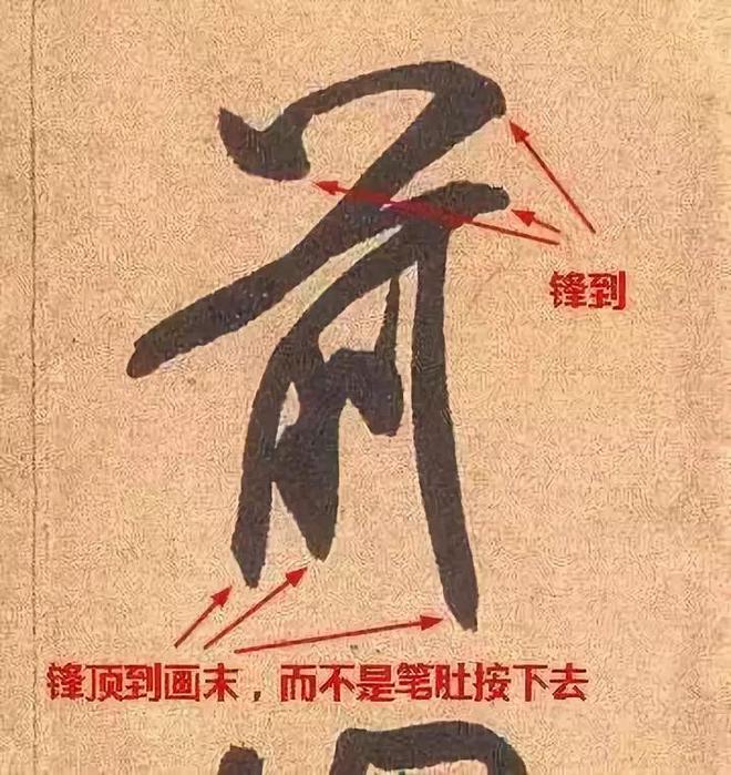 书法，如何令笔锋立起来？ 书画知识 第13张
