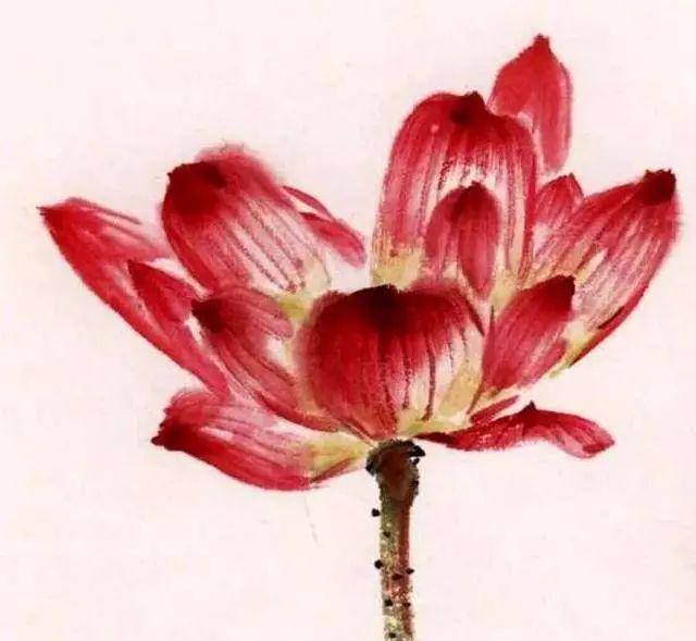 夏天学画写意荷花，送你简易画法！ 书画知识 第16张