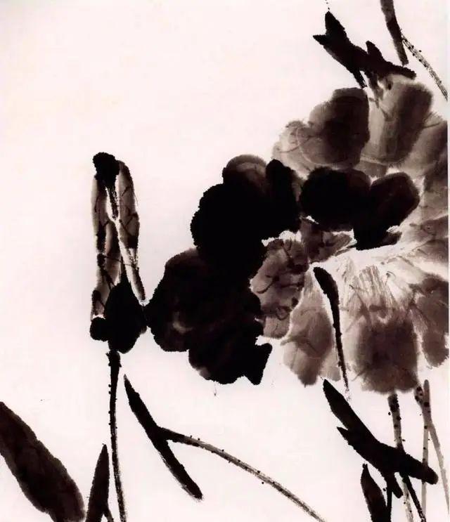 夏天学画写意荷花，送你简易画法！ 书画知识 第20张