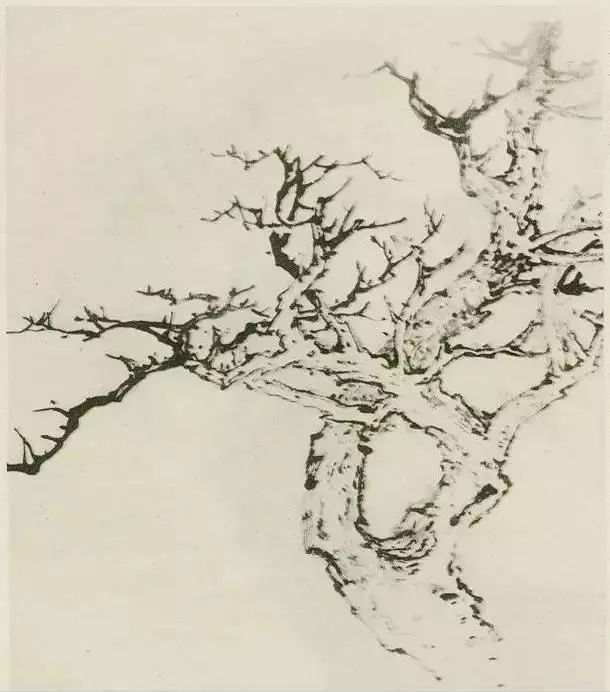 国画中所有树的详细画法解析 书画知识 第10张