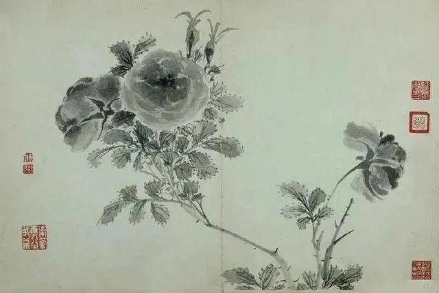 陈书《花鸟册》 历代国画 第5张