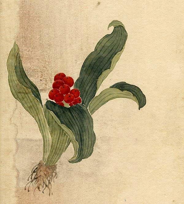 缪谷瑛《百花图》 历代国画 第21张