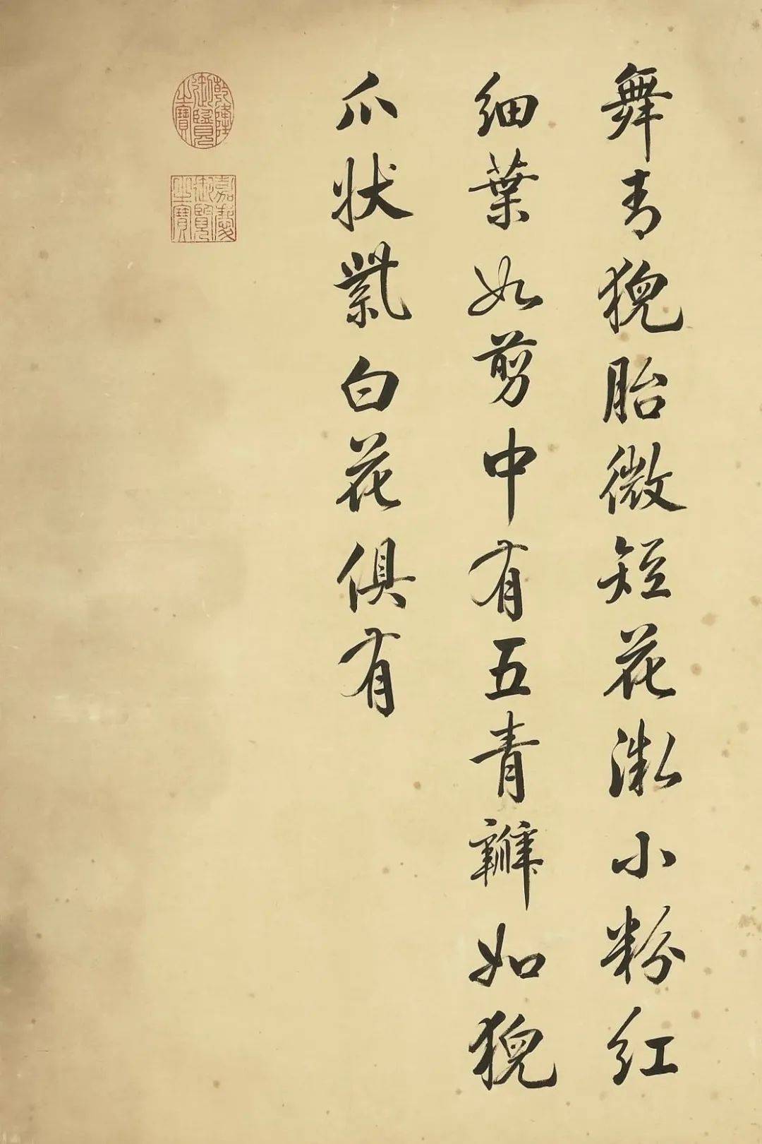 邹一桂《牡丹二十四品图》 历代国画 第53张