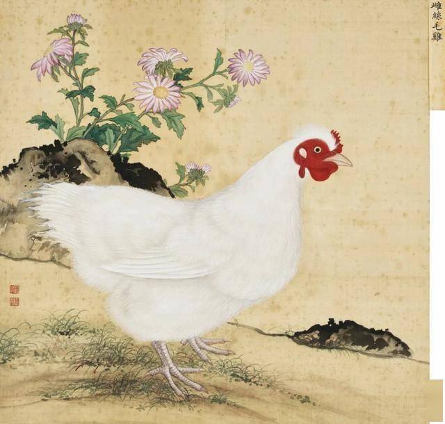 蒋廷锡 《鸟谱》 历代国画 第7张