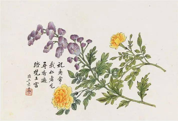 董棨《花鸟册》 历代国画 第8张