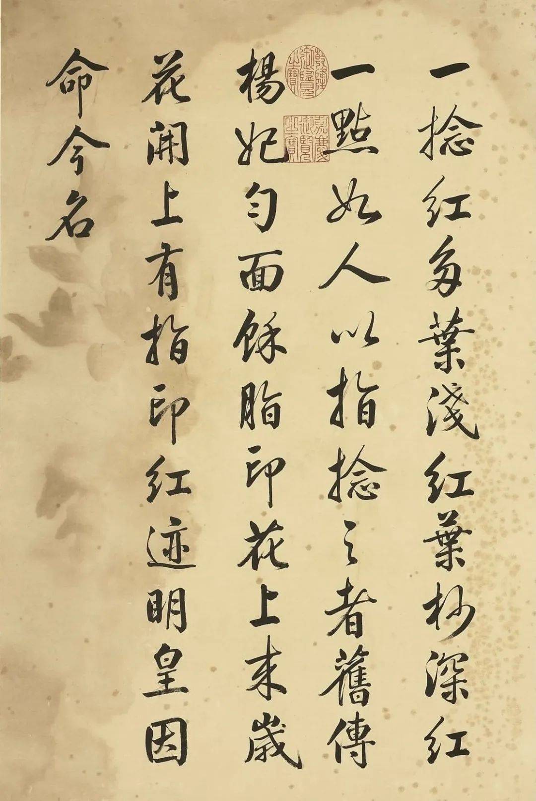 邹一桂《牡丹二十四品图》 历代国画 第47张