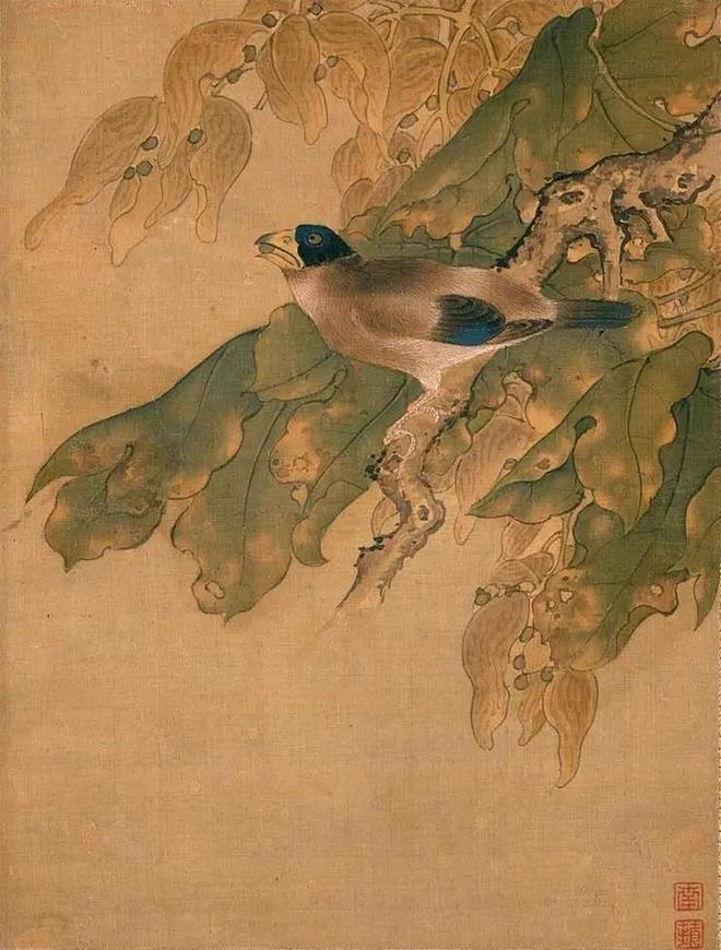 沈铨 《花鸟图册》 历代国画 第7张
