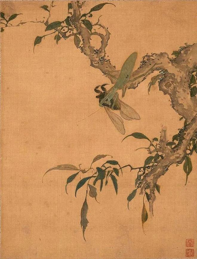沈铨 《花鸟图册》 历代国画 第6张