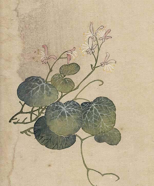 缪谷瑛《百花图》 历代国画 第3张