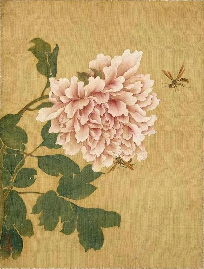 沈铨 《花鸟图册》 历代国画 第11张