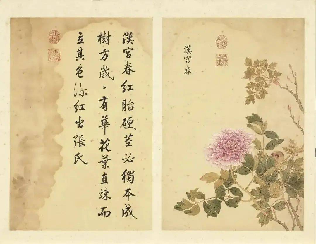 邹一桂《牡丹二十四品图》 历代国画 第40张