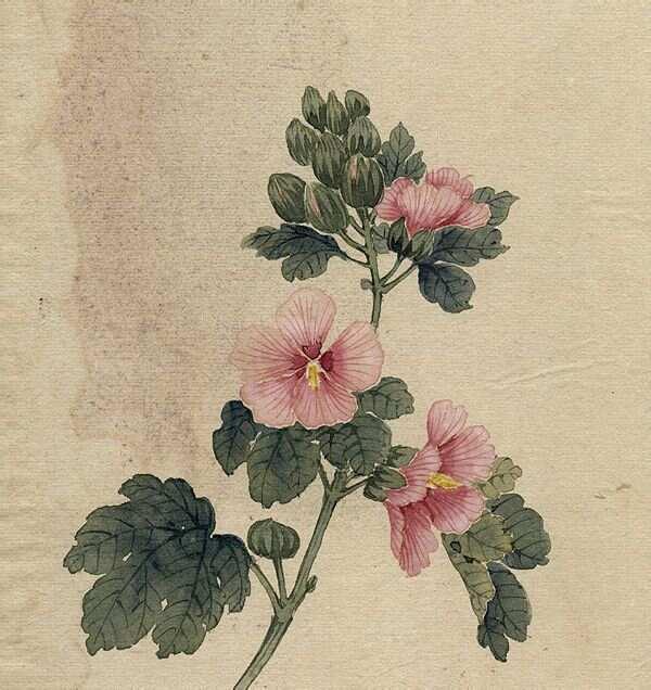 缪谷瑛《百花图》 历代国画 第35张