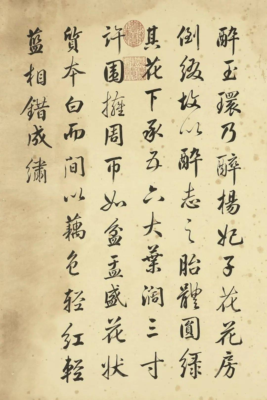 邹一桂《牡丹二十四品图》 历代国画 第23张