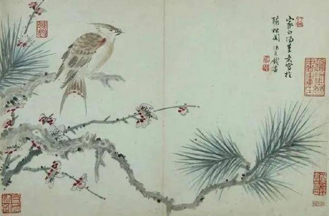 陈书《花鸟册》 历代国画 第4张