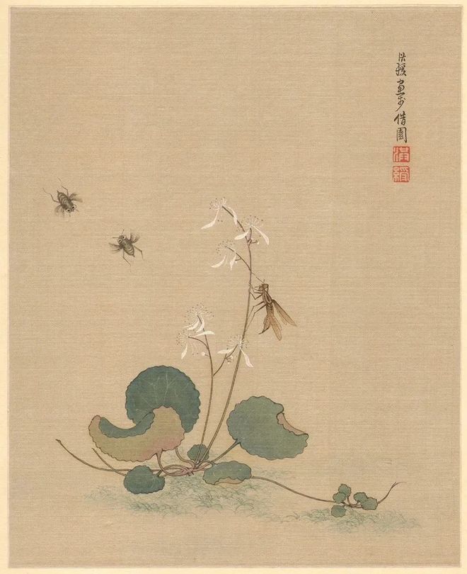 陈洪绶《花鸟草虫册》 历代国画 第1张