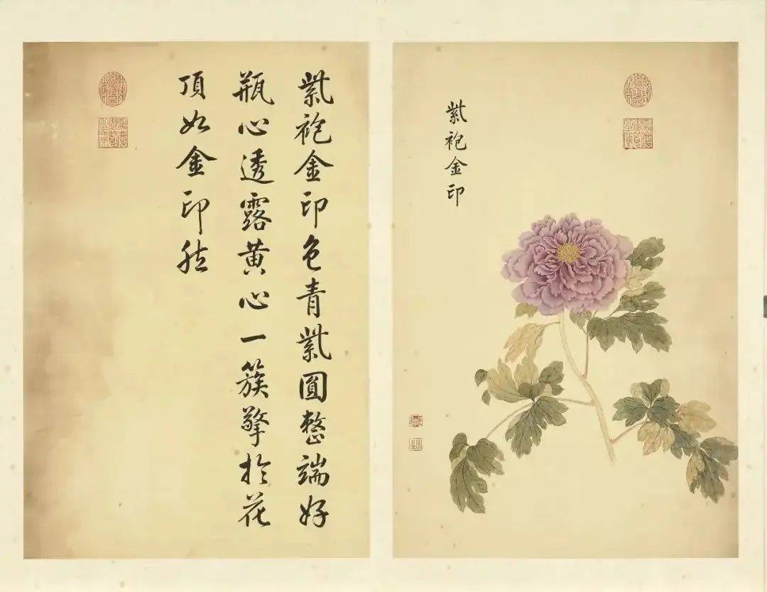 邹一桂《牡丹二十四品图》 历代国画 第61张