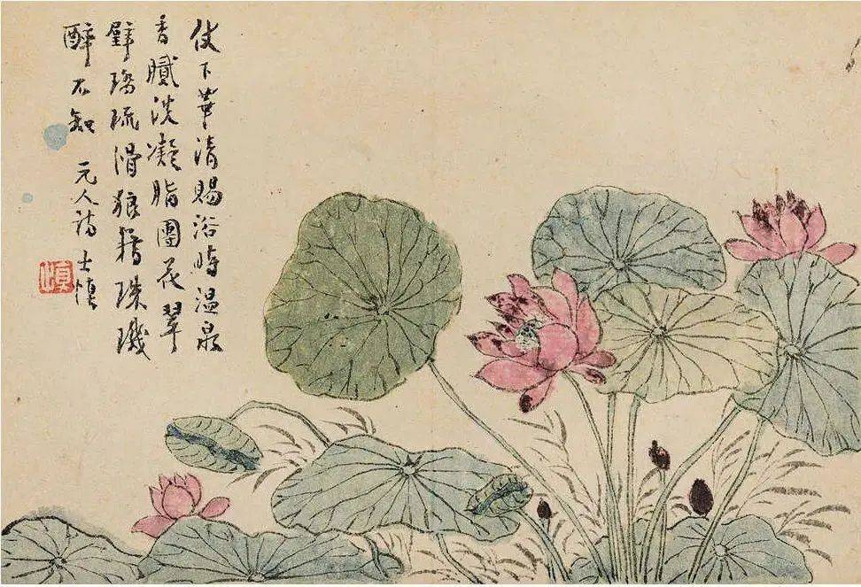 汪士慎《花卉册》 历代国画 第11张