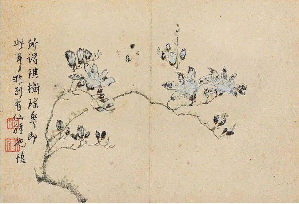 汪士慎《花卉册》 历代国画 第2张