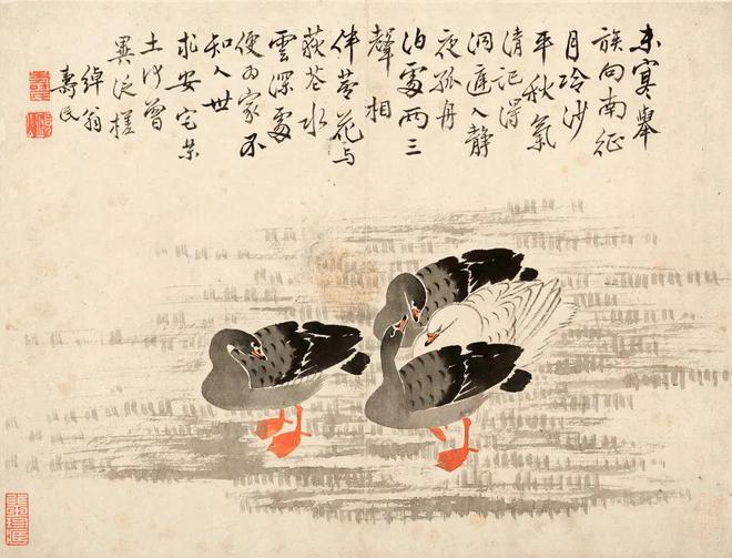 边寿民《芦雁图册》十开 历代国画 第14张