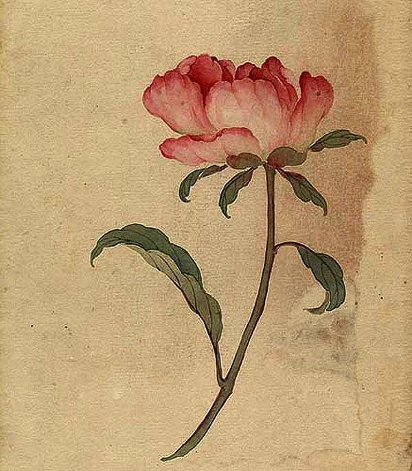 缪谷瑛《百花图》 历代国画 第30张