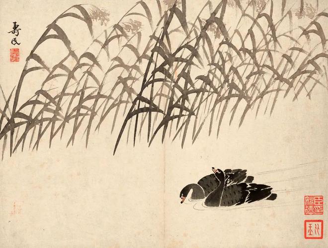 边寿民《芦雁图册》十开 历代国画 第7张