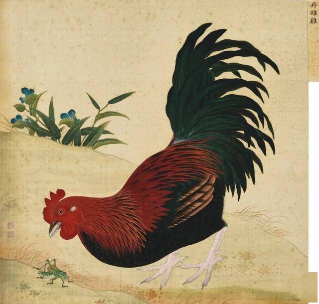 蒋廷锡 《鸟谱》 历代国画 第6张