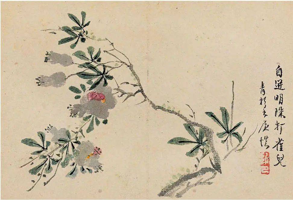 汪士慎《花卉册》 历代国画 第9张