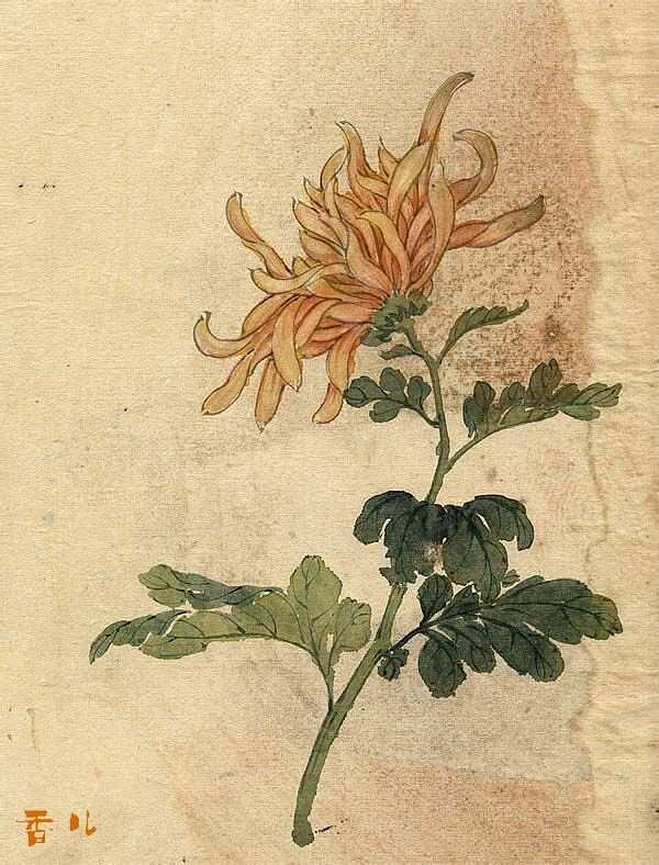 缪谷瑛《百花图》 历代国画 第10张