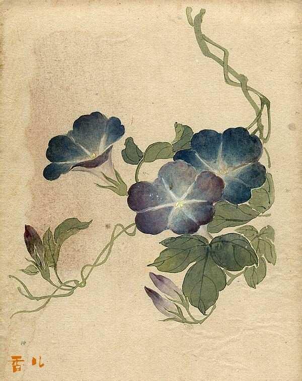 缪谷瑛《百花图》 历代国画 第8张