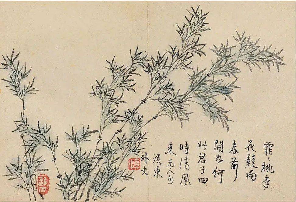 汪士慎《花卉册》 历代国画 第7张