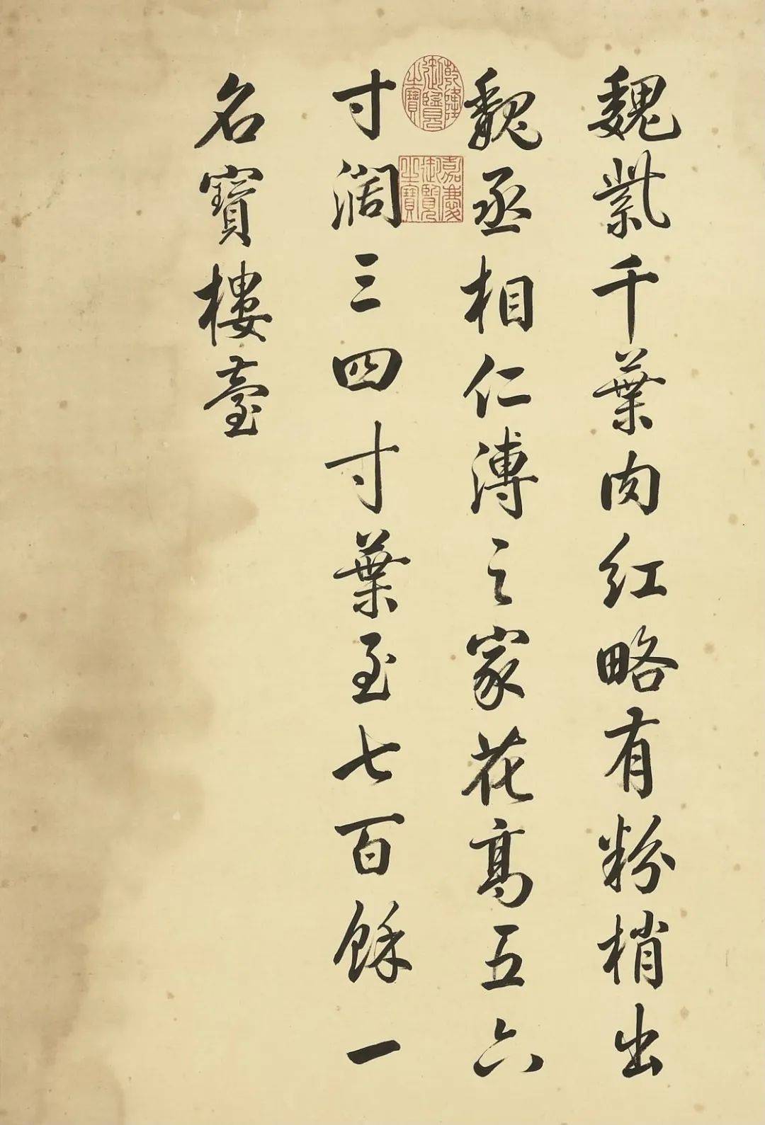 邹一桂《牡丹二十四品图》 历代国画 第5张