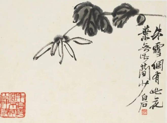 齐白石《衰泥爪花卉册》 历代国画 第6张