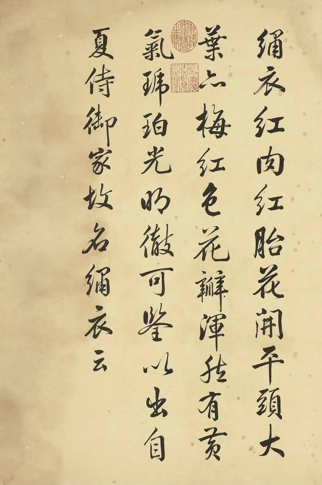 邹一桂《牡丹二十四品图》 历代国画 第50张