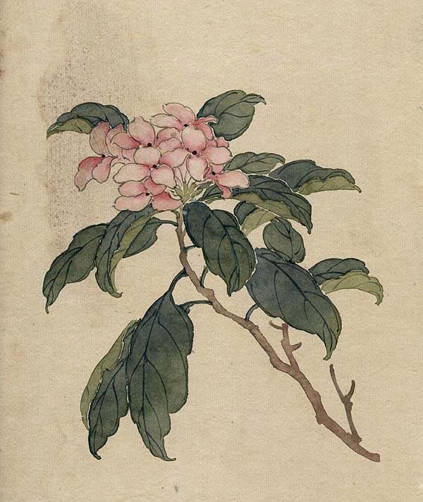 缪谷瑛《百花图》 历代国画 第37张