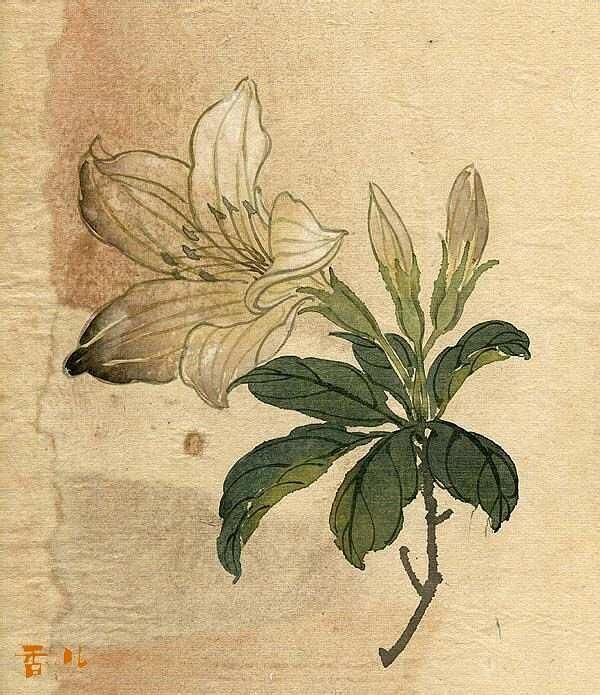 缪谷瑛《百花图》 历代国画 第9张