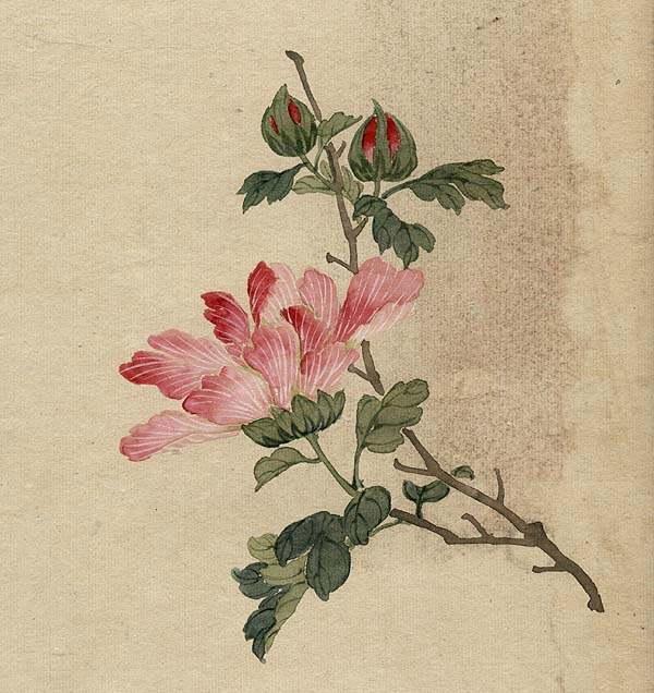 缪谷瑛《百花图》 历代国画 第34张