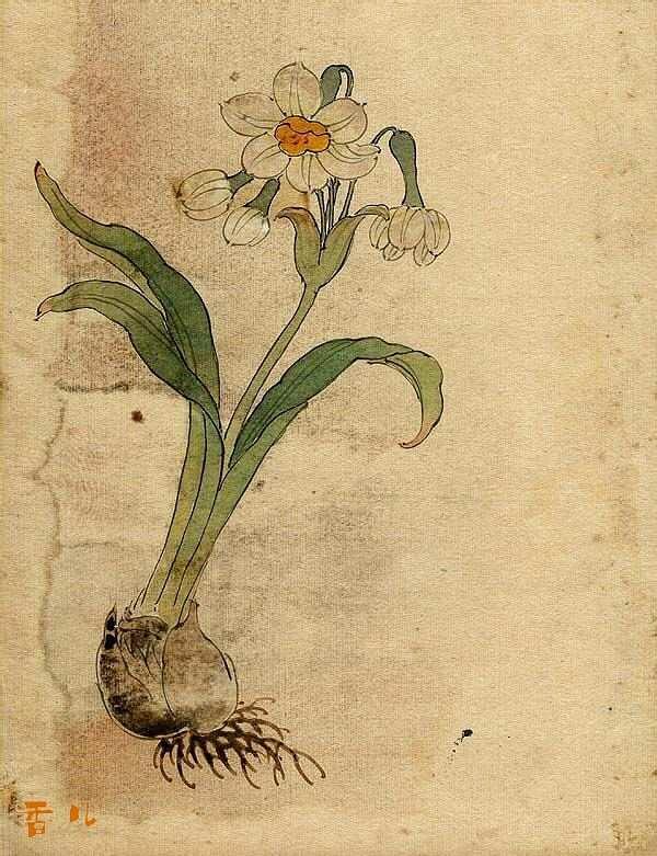 缪谷瑛《百花图》 历代国画 第19张