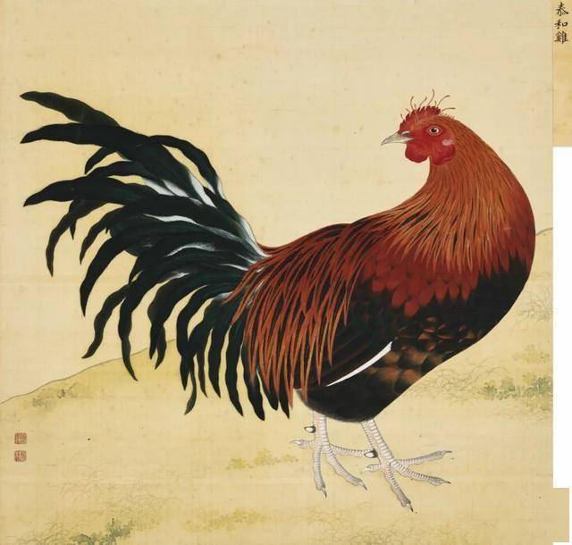 蒋廷锡 《鸟谱》 历代国画 第3张
