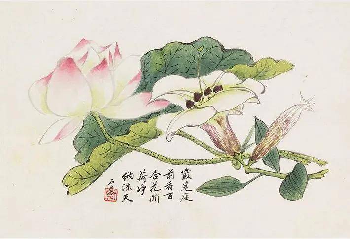 董棨《花鸟册》 历代国画 第7张