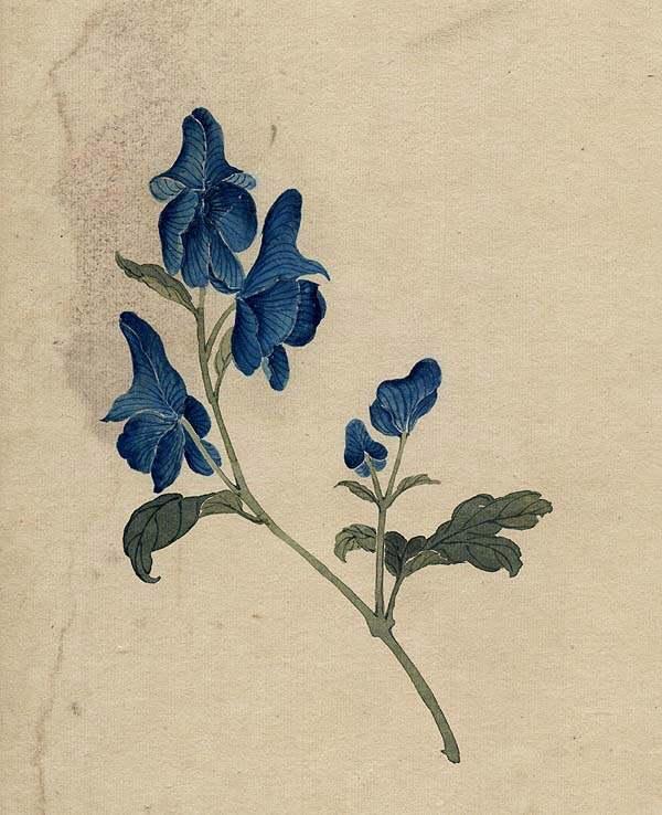 缪谷瑛《百花图》 历代国画 第39张