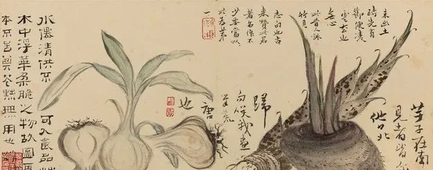 高凤翰《弄孙八珠》 历代国画 第10张
